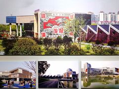 -上海市普陀区文化馆
