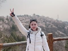 -白水寺森林公园