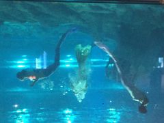 罗源湾海洋世界-福州罗源湾海洋世界旅游区