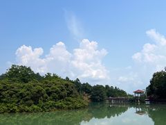 -广州白江湖森林公园