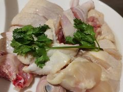 -千岛蚝高压锅生蚝·人参火锅(白云万达店)