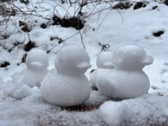 -终南山南五台景区