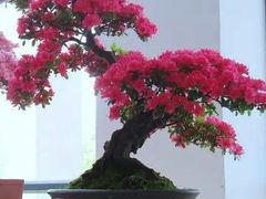 -宝泉胜境旅游度假区