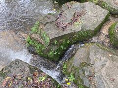 -广州市白云山风景名胜区