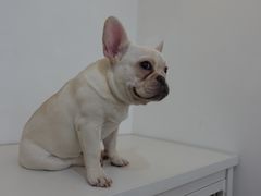 -GOOD好事咖啡(会展城店)