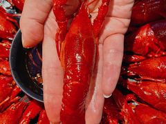-一棠龙虾•王牌虾球(恒隆广场店)