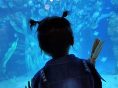 -邯郸海洋世界