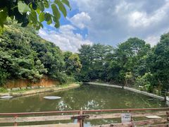 -庆丰农庄·团建·农家菜(大浪店)