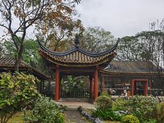 -顺峰山公园
