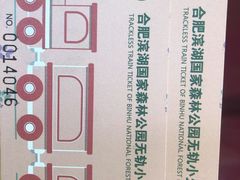 -合肥滨湖国家森林公园