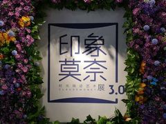 -印象莫奈时光映迹艺术展
