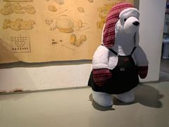 -济州岛泰迪熊博物馆