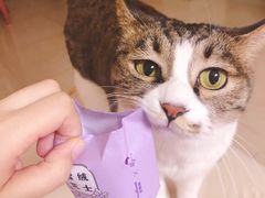 -好利来(宣武门店)