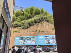 -龙岩森林水乡景区