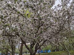 -元大都城垣遗址公园