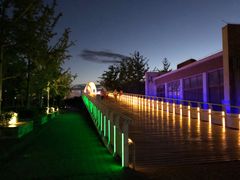 -大兴滨河森林公园