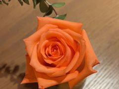 -佐度王子扒房(爱建卓展店)