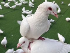-合肥融创乐园