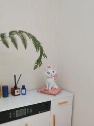 -WENDY·温迪皮肤管理