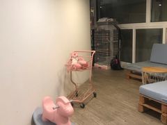 -有猫主题·治愈系猫咖(曾厝垵店)