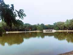 -森林公园(尖草坪区)