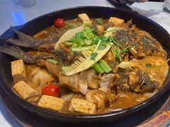 -老板恋上鱼(高新万达店)