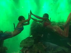 -瑞德姆美人鱼海底演艺主题餐厅(亚龙湾店)