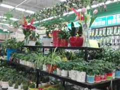 -大润发(东关世茂店)