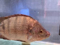 -街小坐闽南小牌档(新元店)