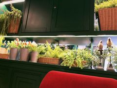 -织荆鸟咖啡(昌平店)