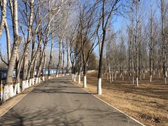 -东郊湿地公园