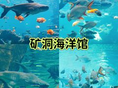 -长鹿旅游休博园