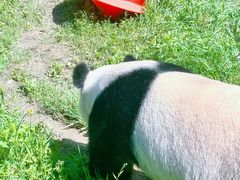 -苏州太湖国家湿地公园