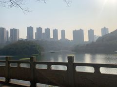 -重庆彩云湖湿地公园