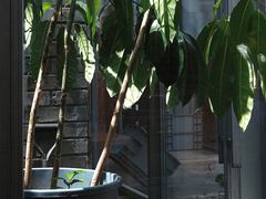 -VOYAGE COFFEE(杨梅竹店)