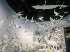 -中国湿地博物馆