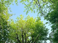 -海珠湖公园