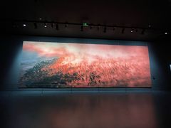 -罗红摄影艺术馆