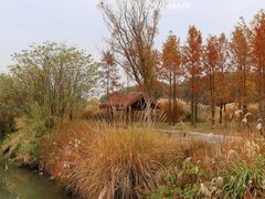 -良渚古城遗址公园