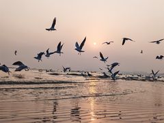 -老虎石海上公园