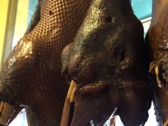 iphone_upload_pic-二八鸥汀老鹅(金涛庄店)