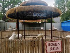 -保定市动物园