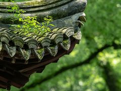 -白鹿洞书院