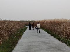 -宁波杭州湾国家湿地公园