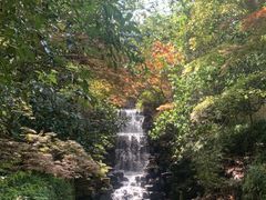 -十八棵（老龙井）御茶园(老龙井店)