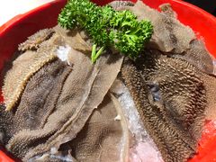 -一斗火锅·招财羊毛肚(泰吉滨江店)