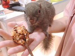 -藦茜花园宠物主题亲子互动体验馆(国顺东路店)
