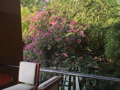 -三亚湾海居铂尔曼度假酒店