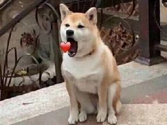 -富记鱼蛋粉(西村店)