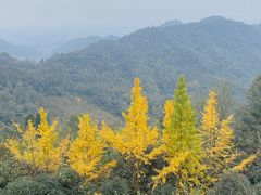 -凤栖山